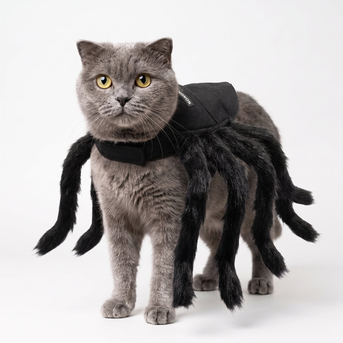 Disfraz de Araña para Mascota